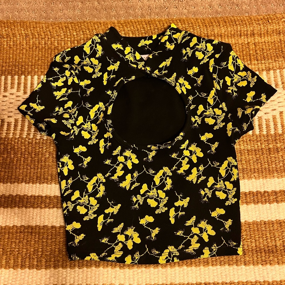 Oriental Crop Top